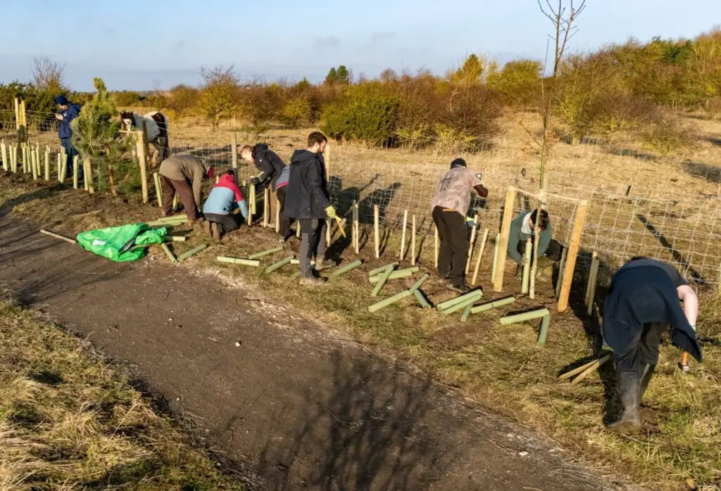 Copt Hill Community Hedgerow Event at The Seven Sisters | Microsite | Microsite