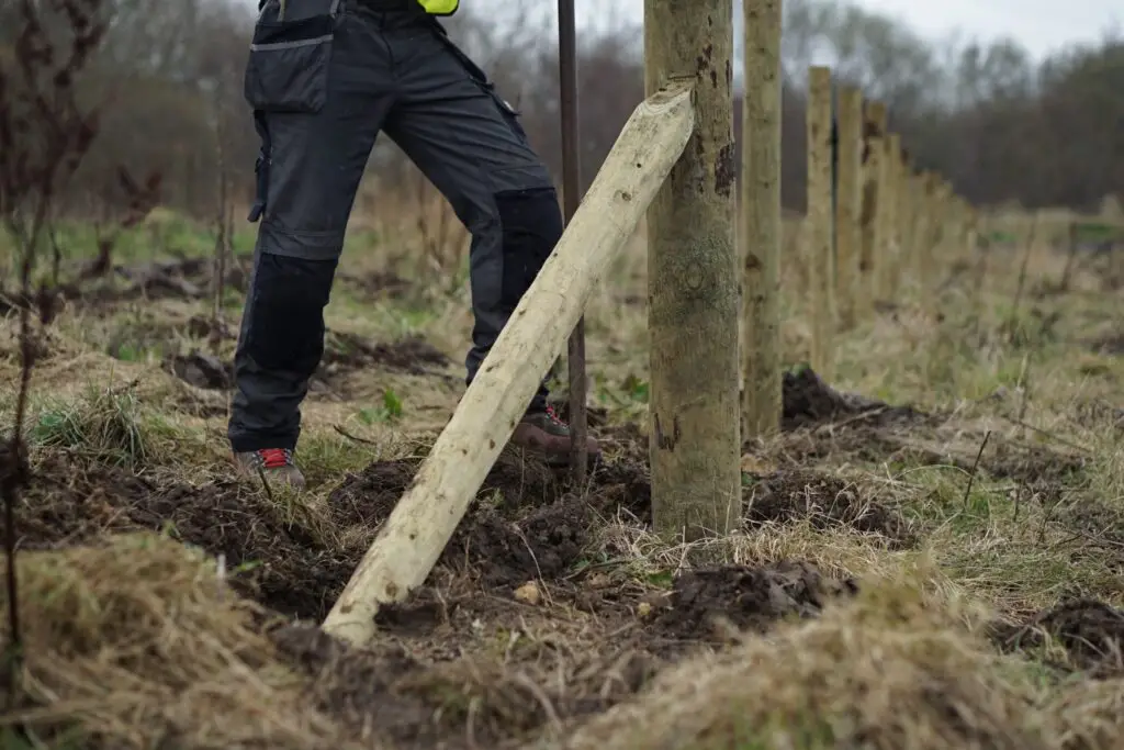 Agricultural fencing protecting rural land | Microsite | Microsite