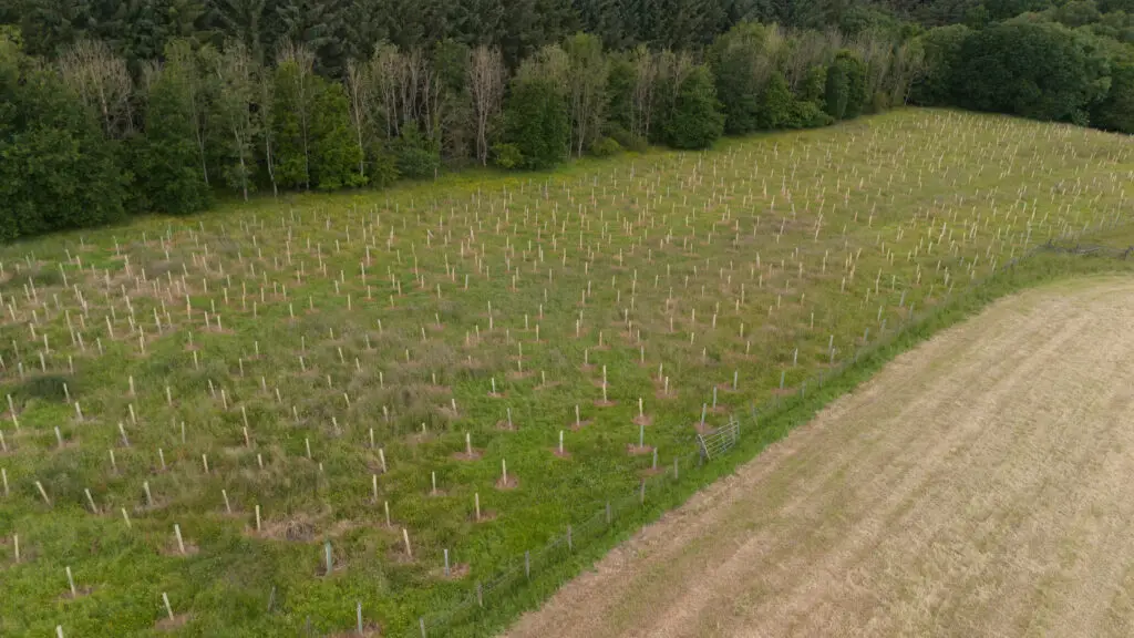 Treescaping and biodiversity-led landscaping by Microsite, tree planting and woodland creation