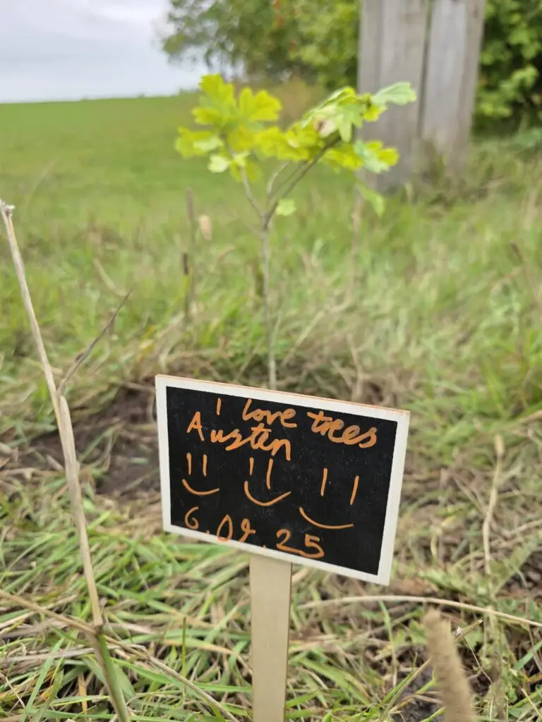 Child's Community woodland creation