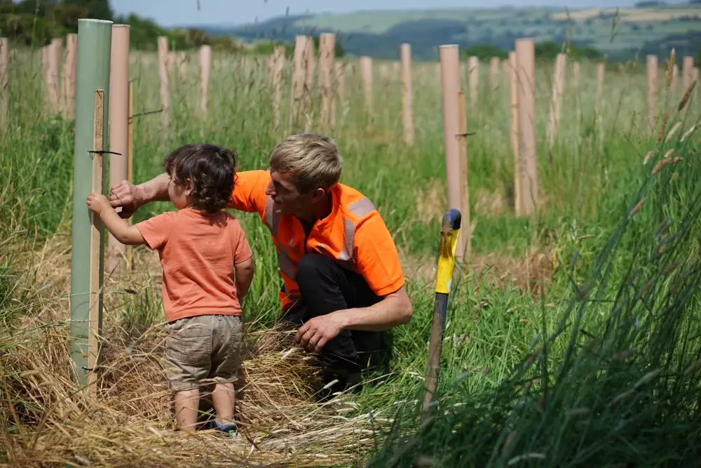 Microsite UK Woodland creation and reforestation | Microsite | Microsite