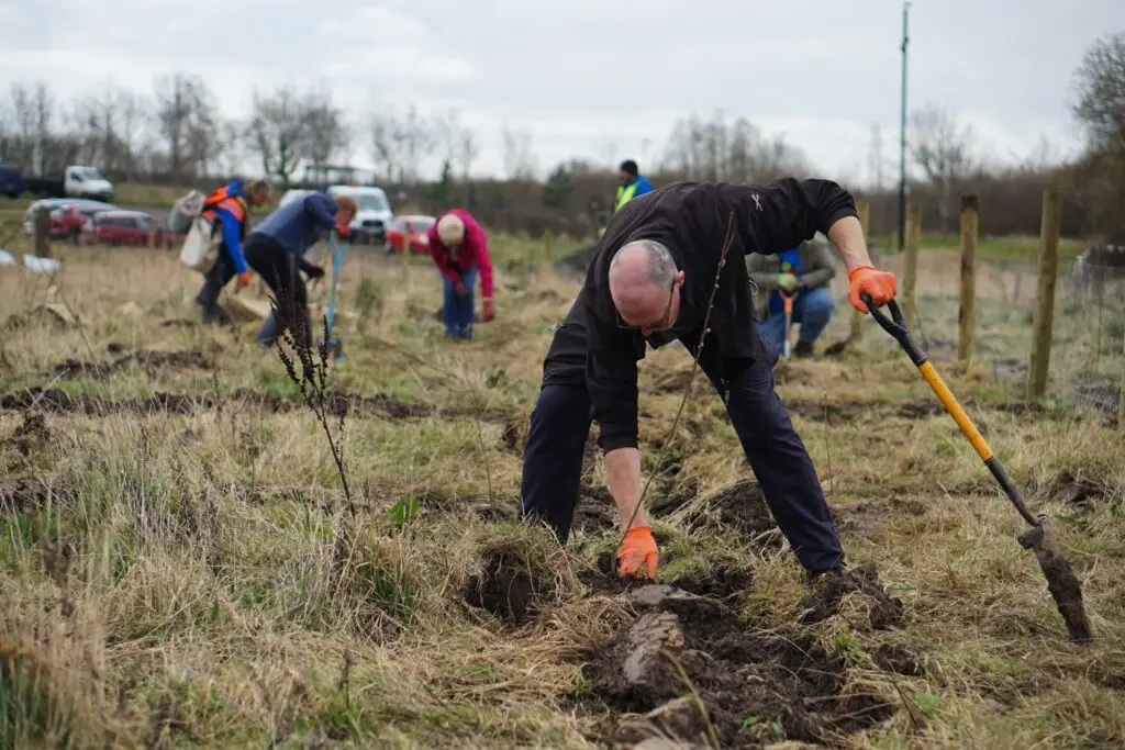 tree planting company | Microsite | Microsite