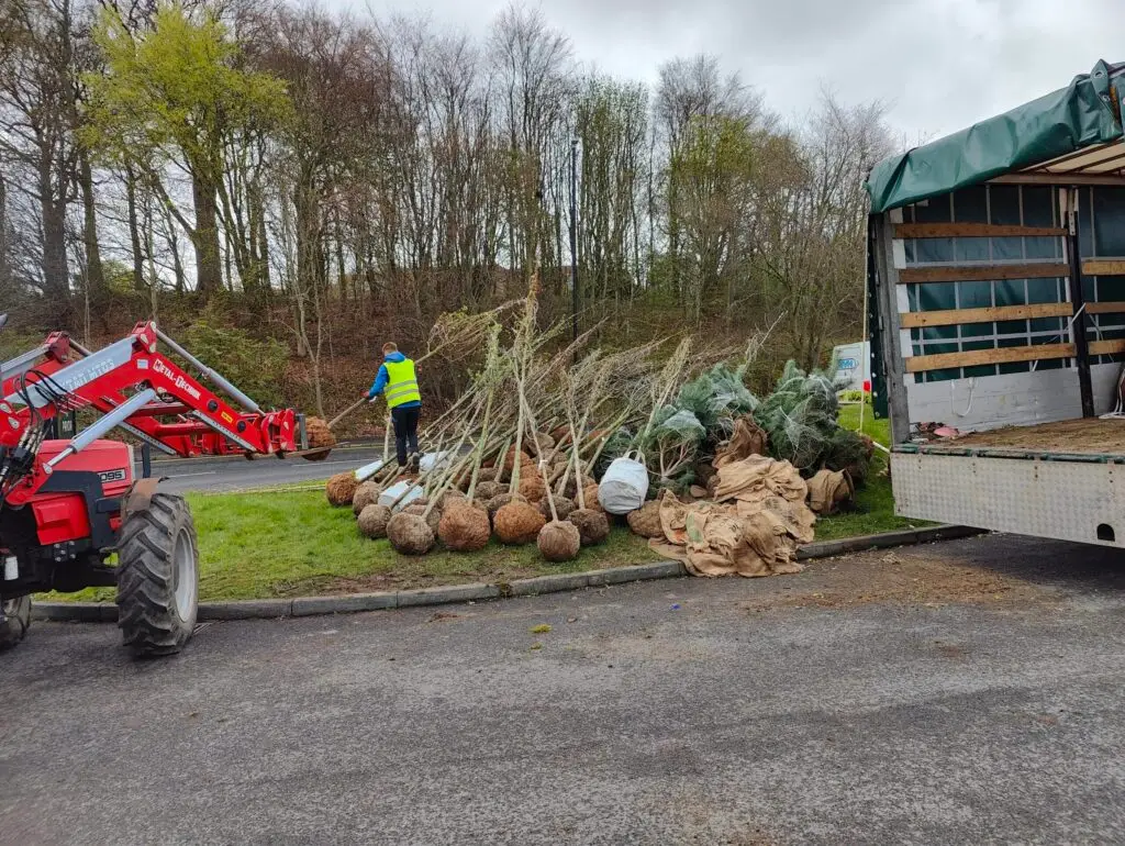 In the North East Community woodland creation , Urban Tree Planting Services | Microsite | Microsite