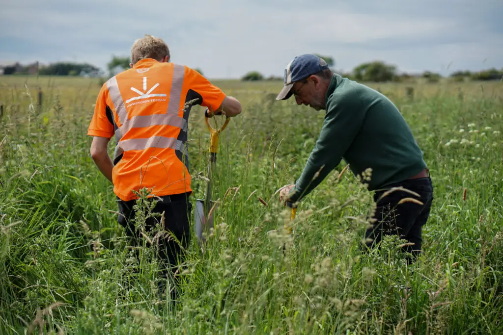 Getting stuck in Community woodland creation  | Microsite | Microsite