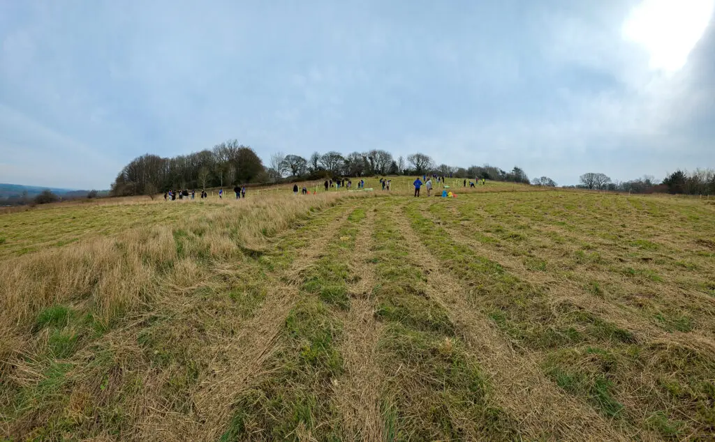 Microsite Plants 7,500 Trees at Emmaus Youth Village | Microsite | Microsite