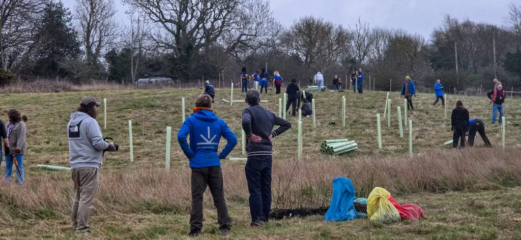 Tree Planting Contractors with volunteers in a field | Microsite | Microsite