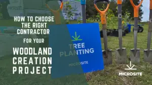 How to Choose the Right Contractor for Your Woodland Creation Project | Microsite | Microsite