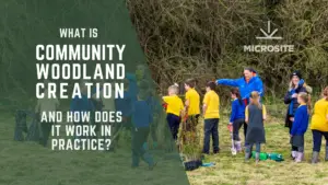 What Is Community Woodland Creation and How Does It Work in Practice | Microsite | Microsite